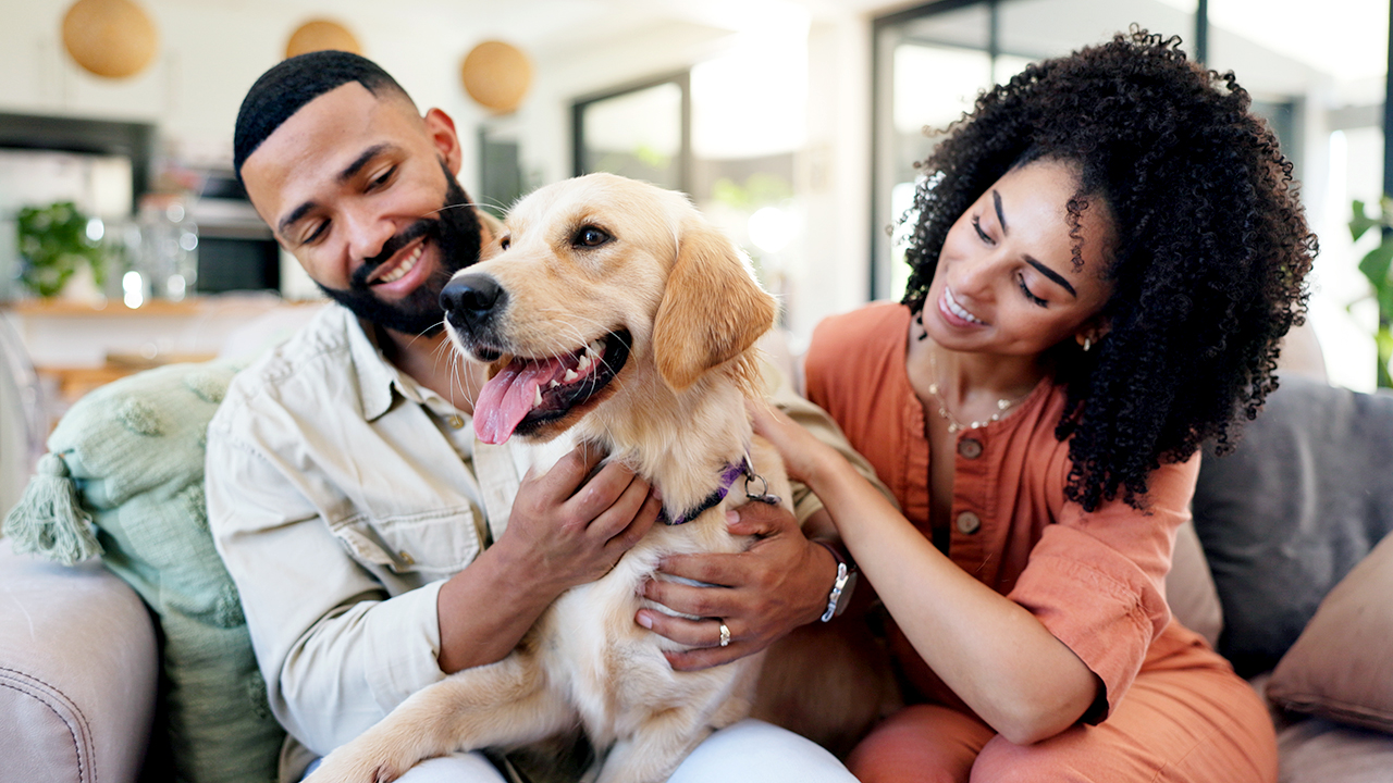 CVS offers new pharmacy option for pet owners