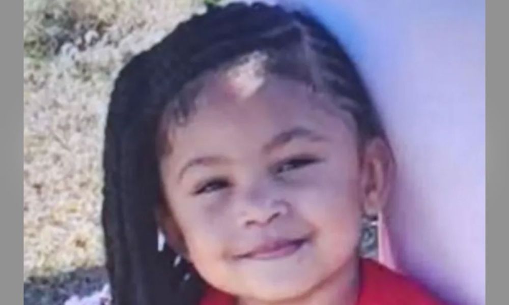 Cadaver Dog Helping in Search for Missing 2-Year-Old Girl As Mom Is Charged