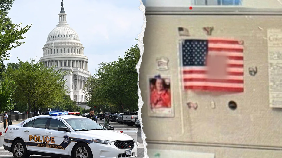 'Optical illusion' swastika flags distributed to multiple congressional offices prompt investigation: sources