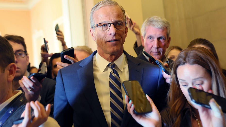 Thune guarantees voter ID bill to hit the Senate despite Schumer, Dem opposition: 'We will have a vote'