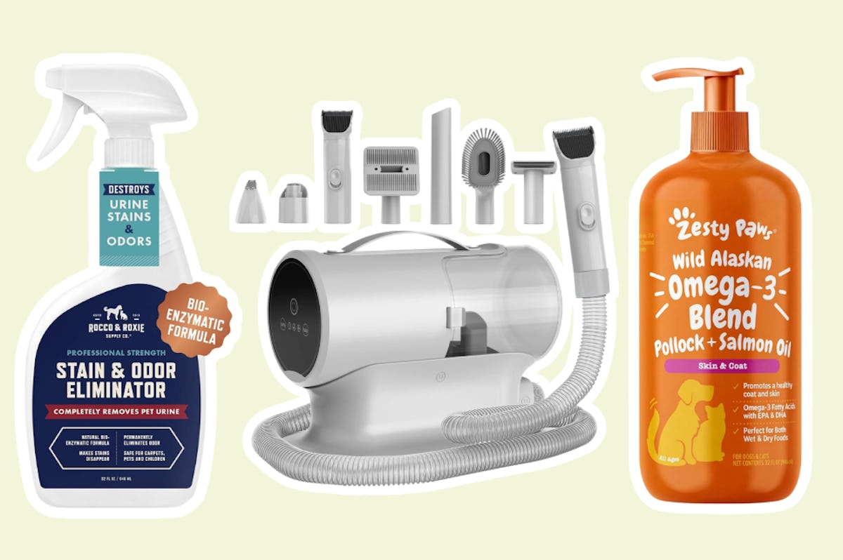 12 Pet Products Scary Mommy Editors Want From The Amazon Pet Days Sale