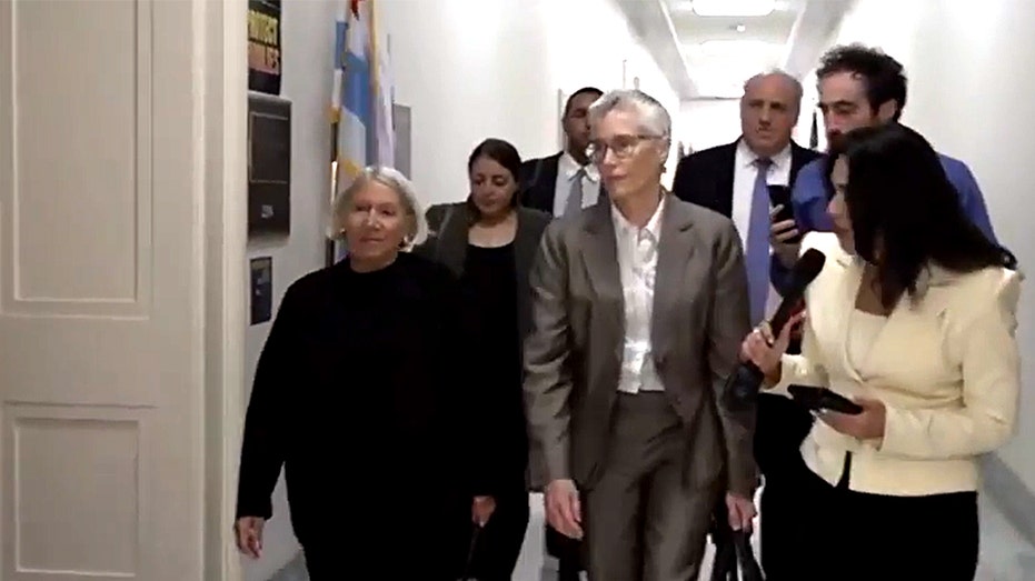 Veteran Biden insider Anita Dunn confronted by Fox News after facing grilling from GOP