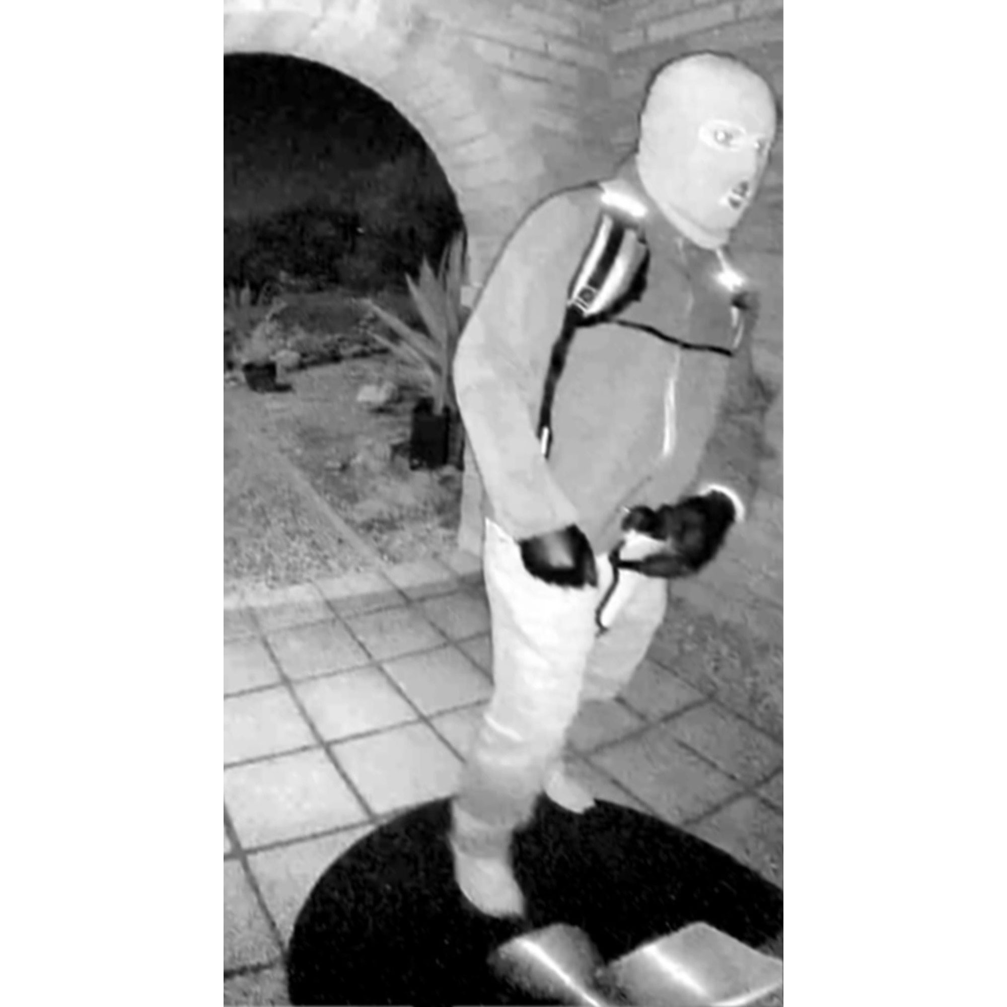 FBI Director Addresses Delay in Releasing Nancy Guthrie Surveillance Footage