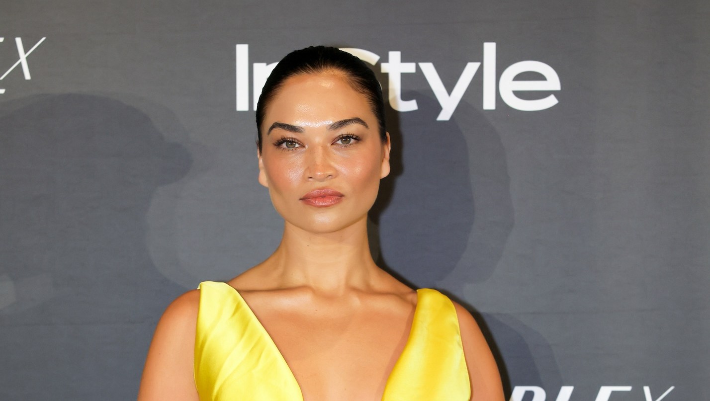 Supermodel Shanina Shaik Is Pregnant With Baby No. 2: 'A New Chapter'