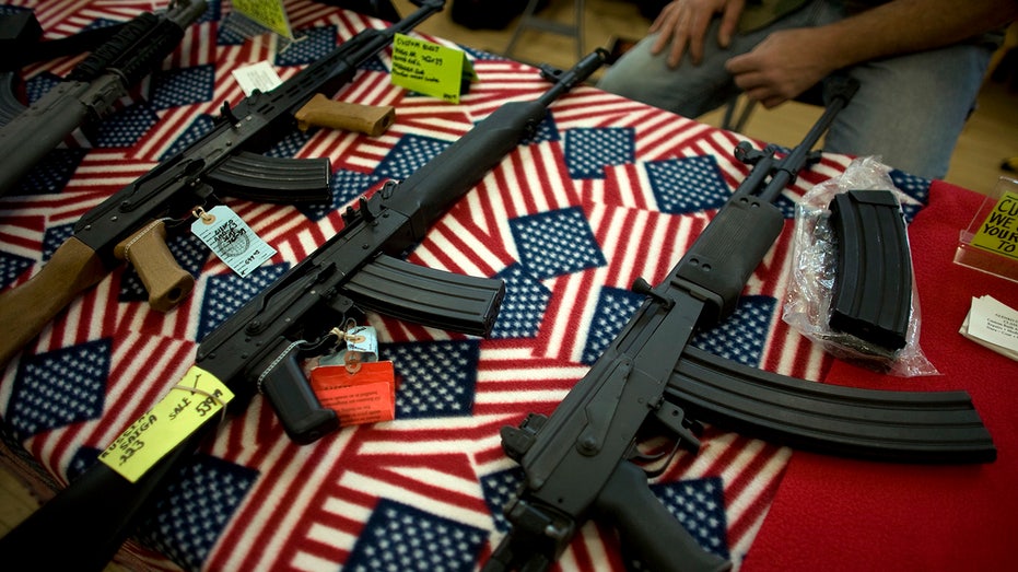 Gun rights expert says Minnesota Dems tried to block her testimony on firearm bills to 'avoid' policy debate