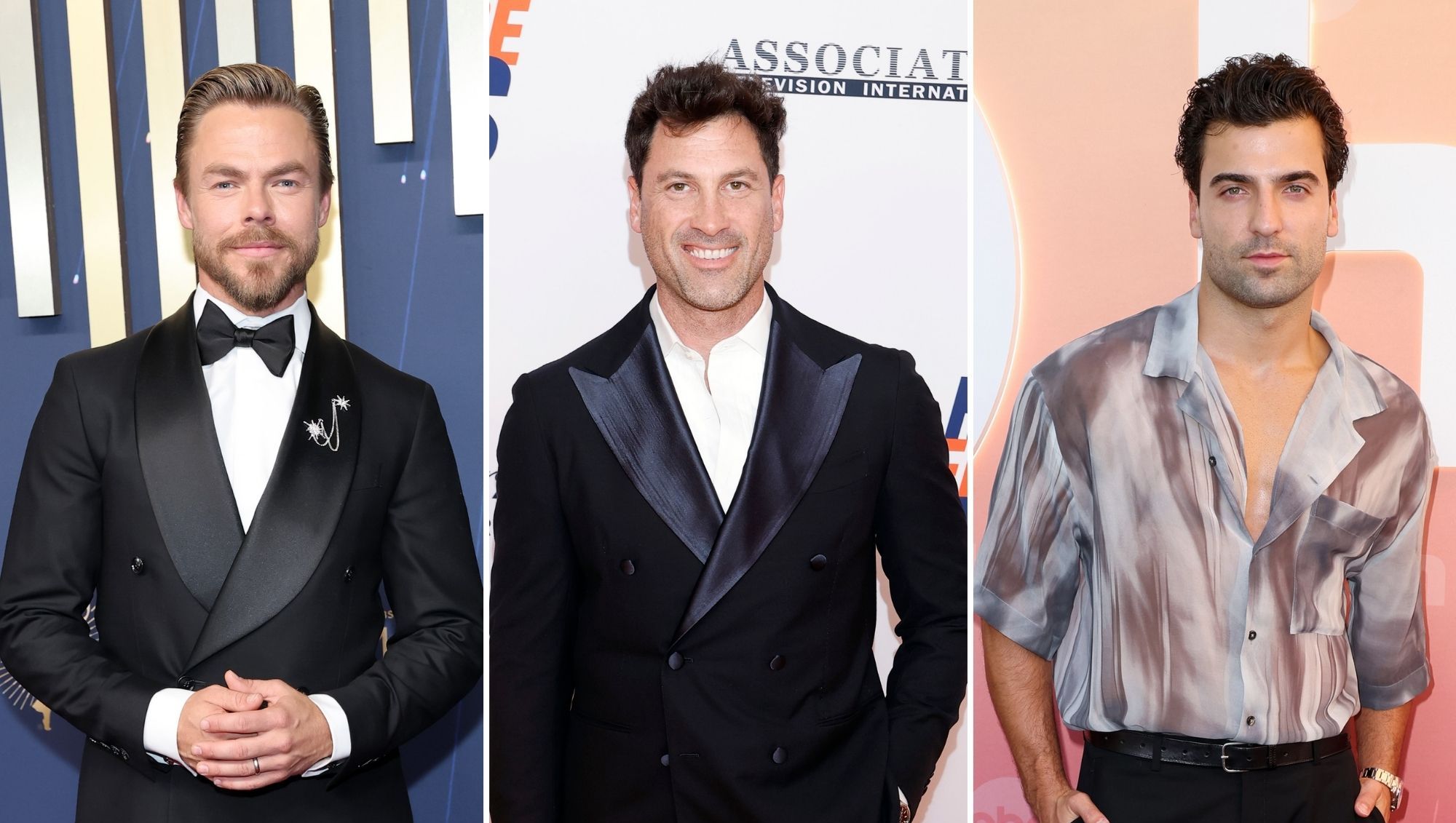 Derek Hough Subtly References Maks Chmerkovskiy's Comments About Jan Ravnik