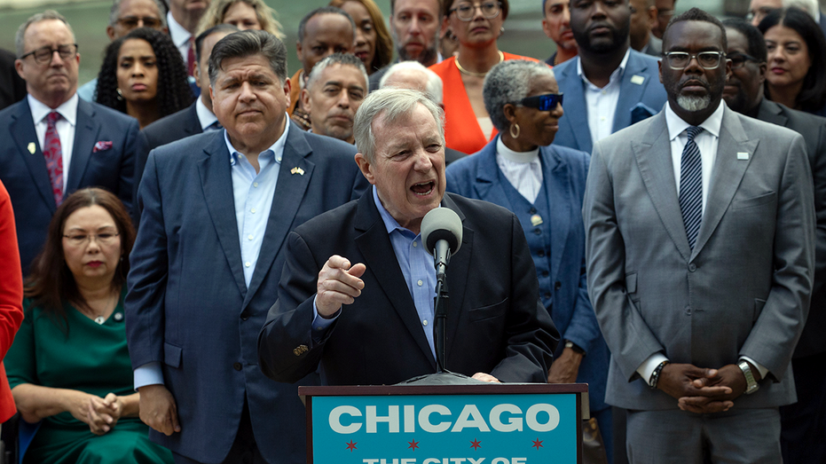 DHS torches 'bamboozled' Dems for calling ICE crackdown ‘vicious lies’