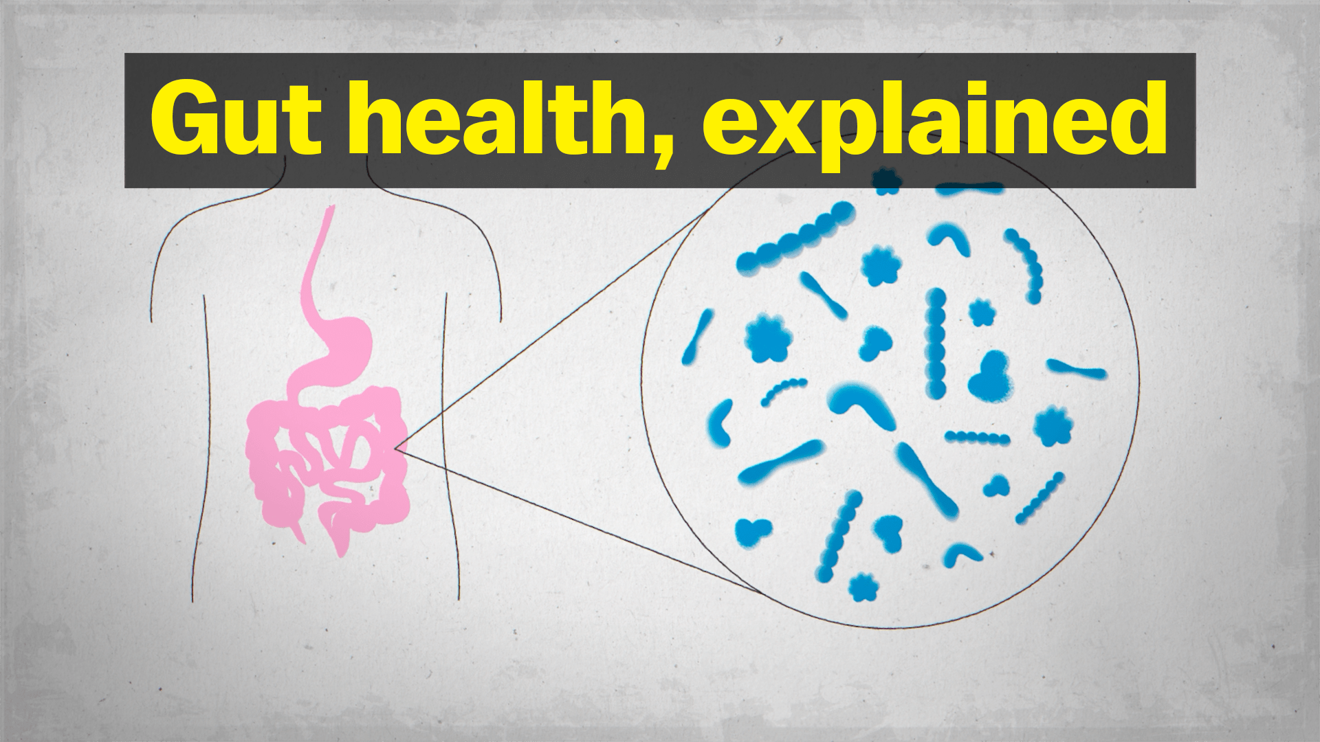 The truth about gut health