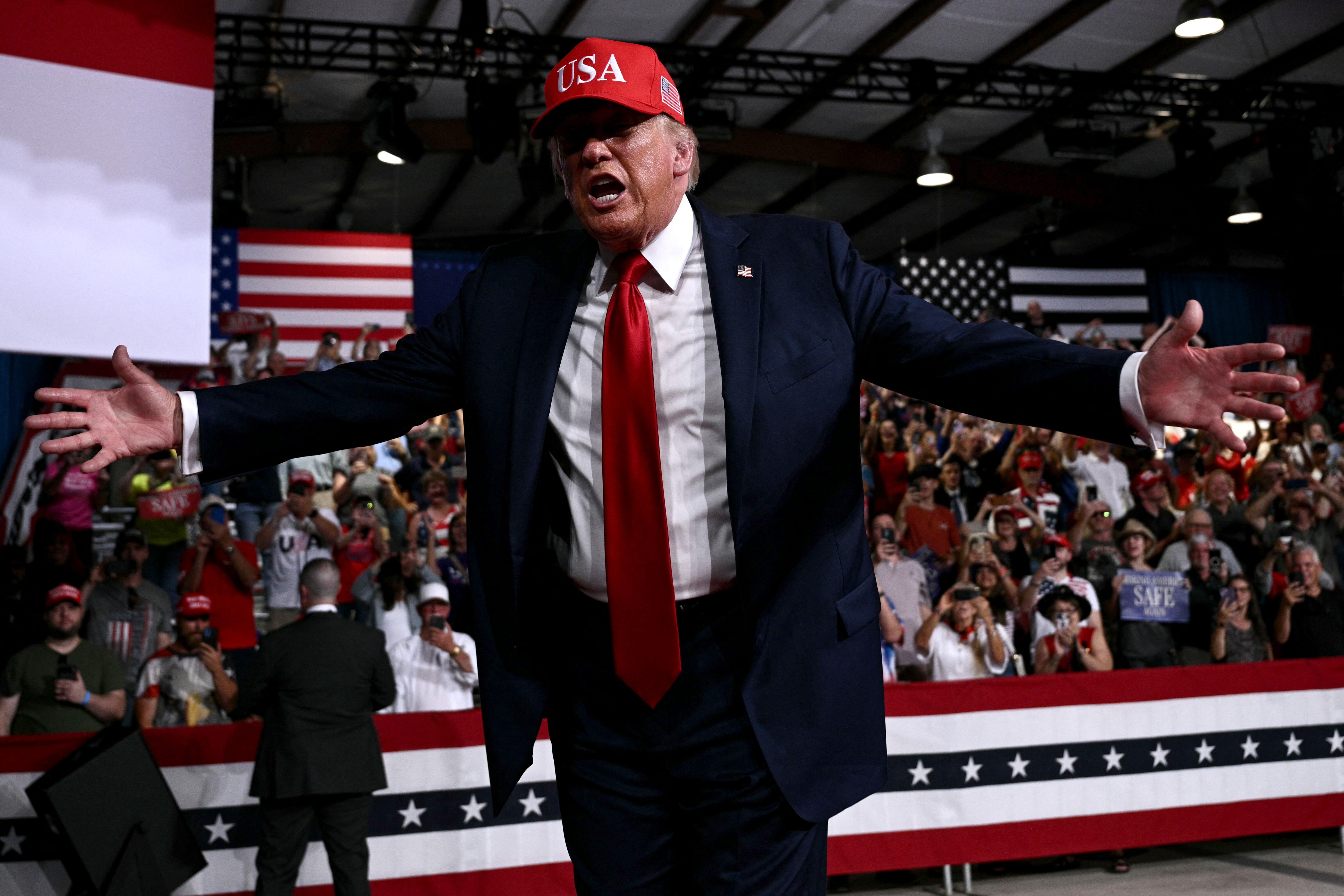 Trump puts himself on the ballot