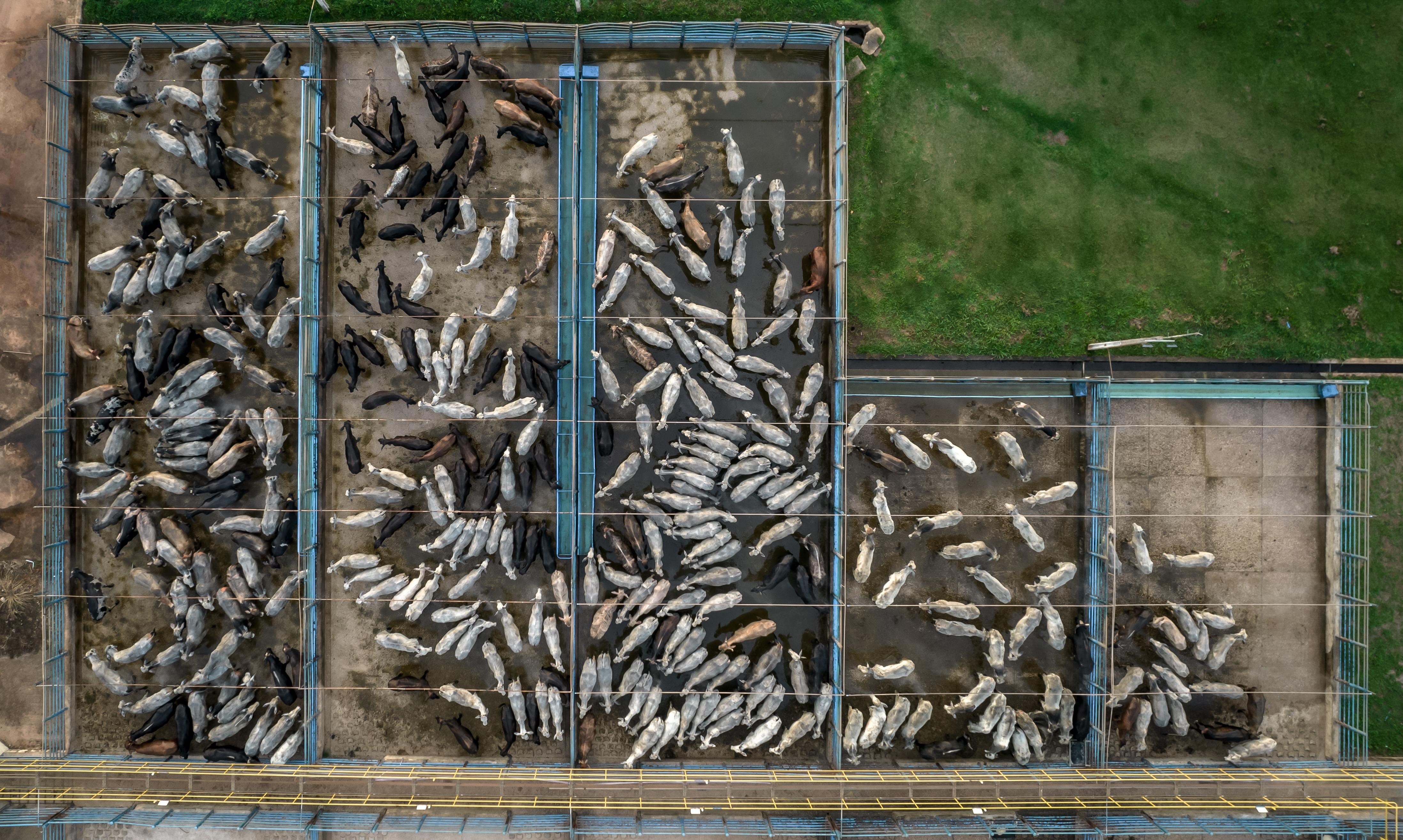 The climate case against leather