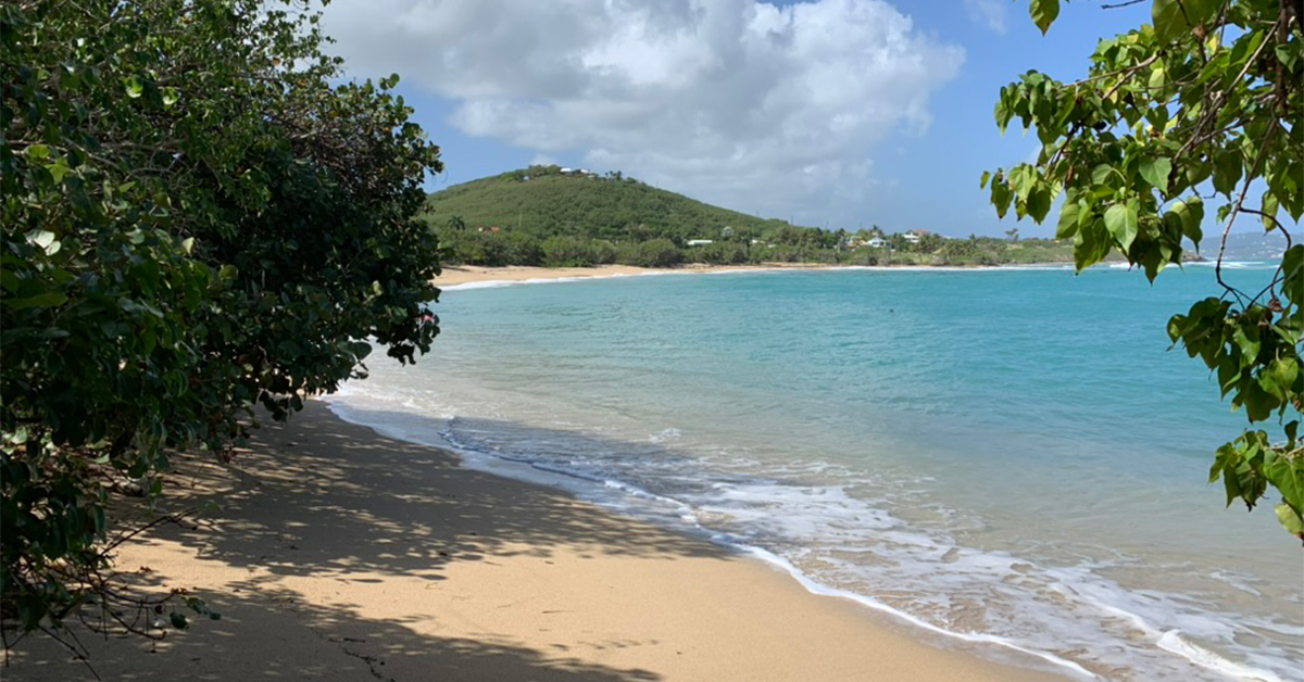 There’s a St. Croix Beach No One Tells You About, With a Mangrove Tunnel, Great Snorkeling, and Postcard-Perfect Sand