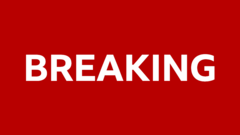 Several critically injured in LA after vehicle driven into crowd, emergency services say