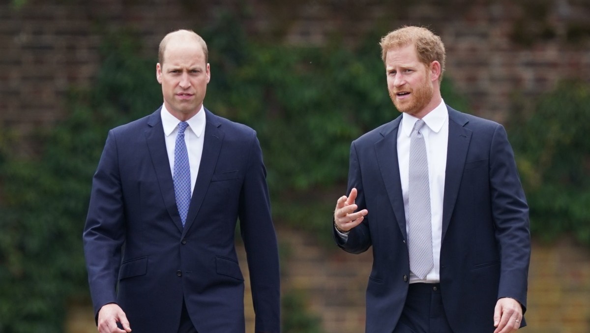 Will Prince Harry's Move 'Heal' Rift With William? Royal Expert Weighs In