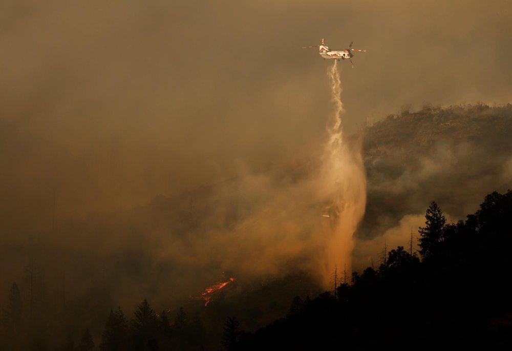 Winery Worker Allegedly Ignited Napa Valley Fire, Causing Millions in Losses