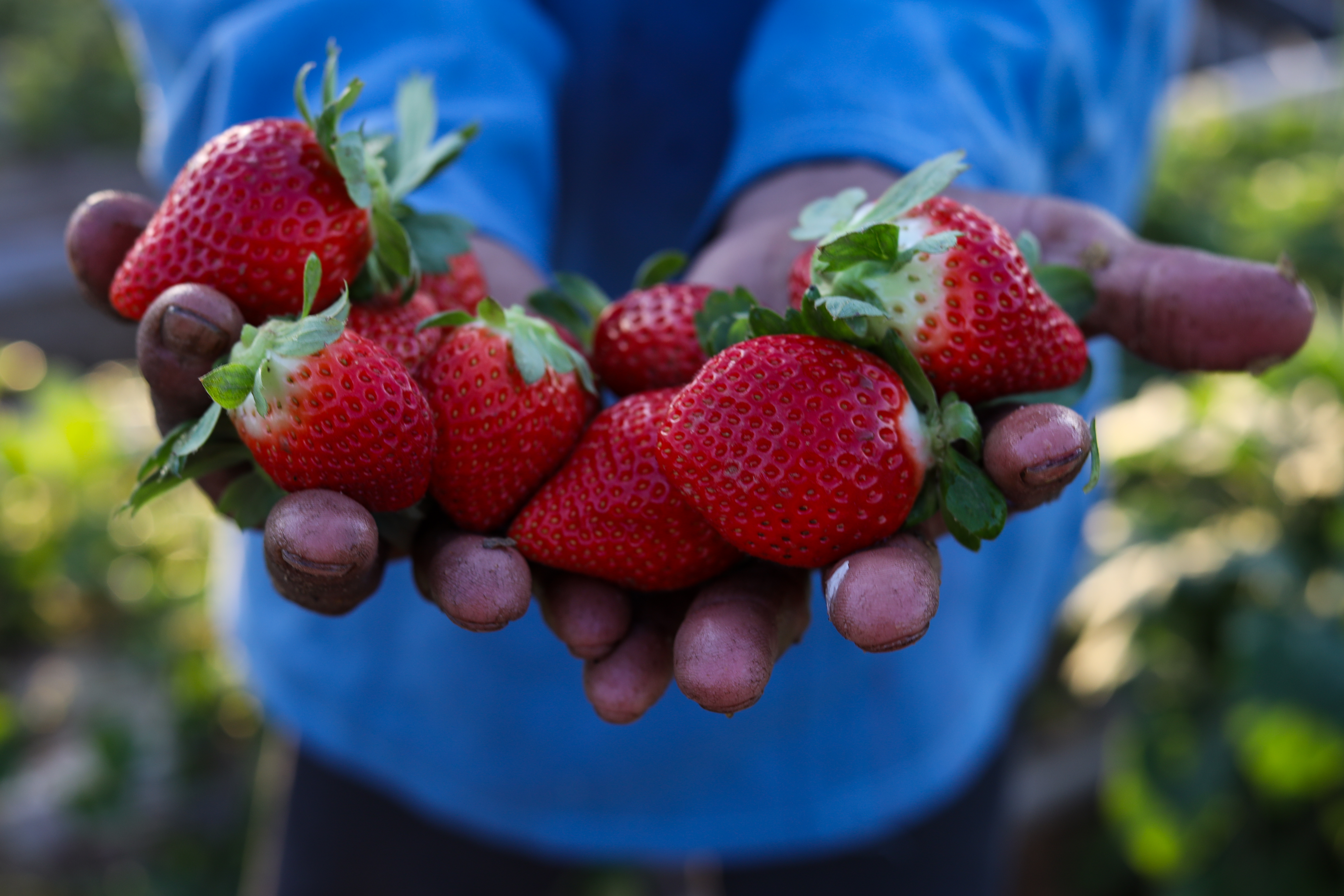 Want closer friendships? Find your “strawberry people”