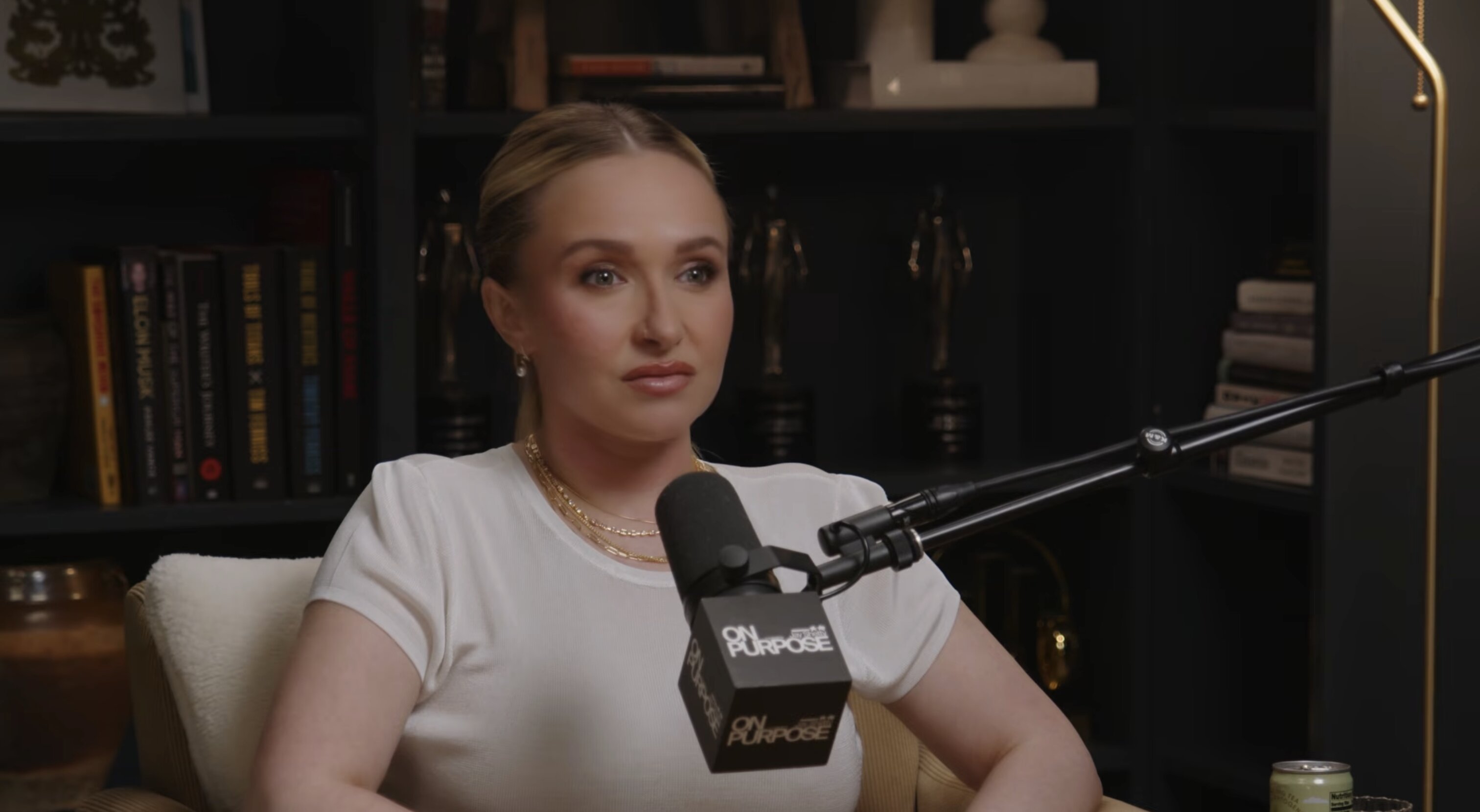 Hayden Panettiere's Ex Brian Hickerson Breaks Silence on Her Death