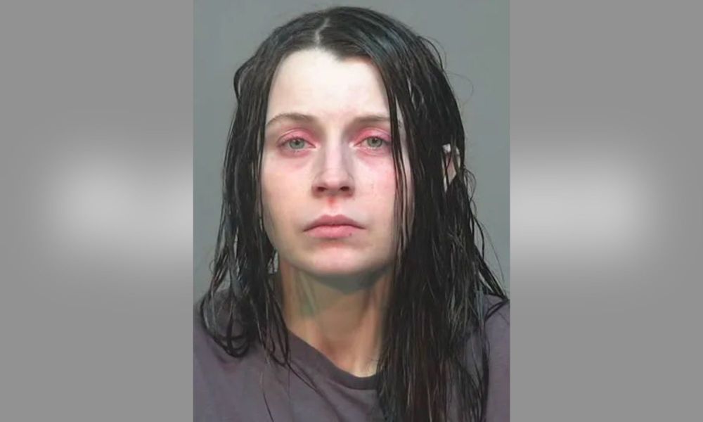 Prosecutors Seeking ‘New Serious Felony Charges’ Against Elizabeth Siders