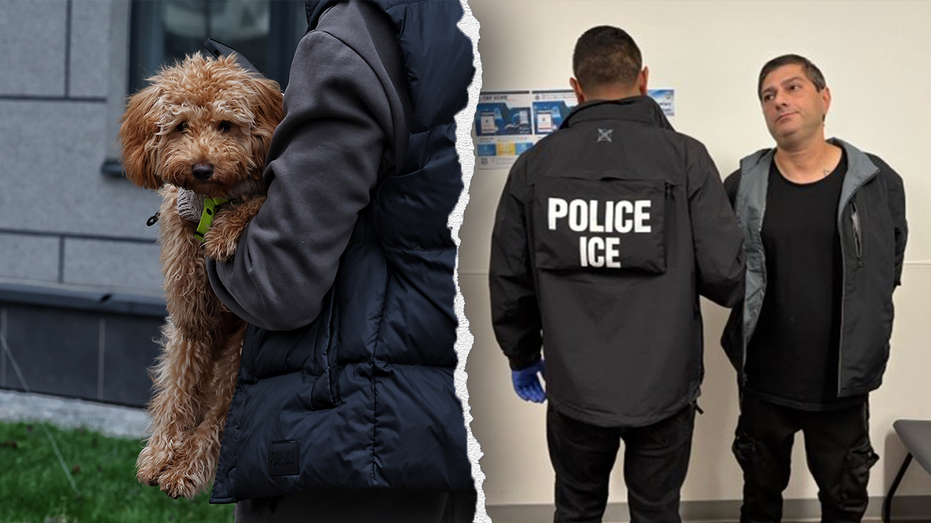 ICE arrests Azerbaijan national with multiple criminal convictions including animal cruelty, arson