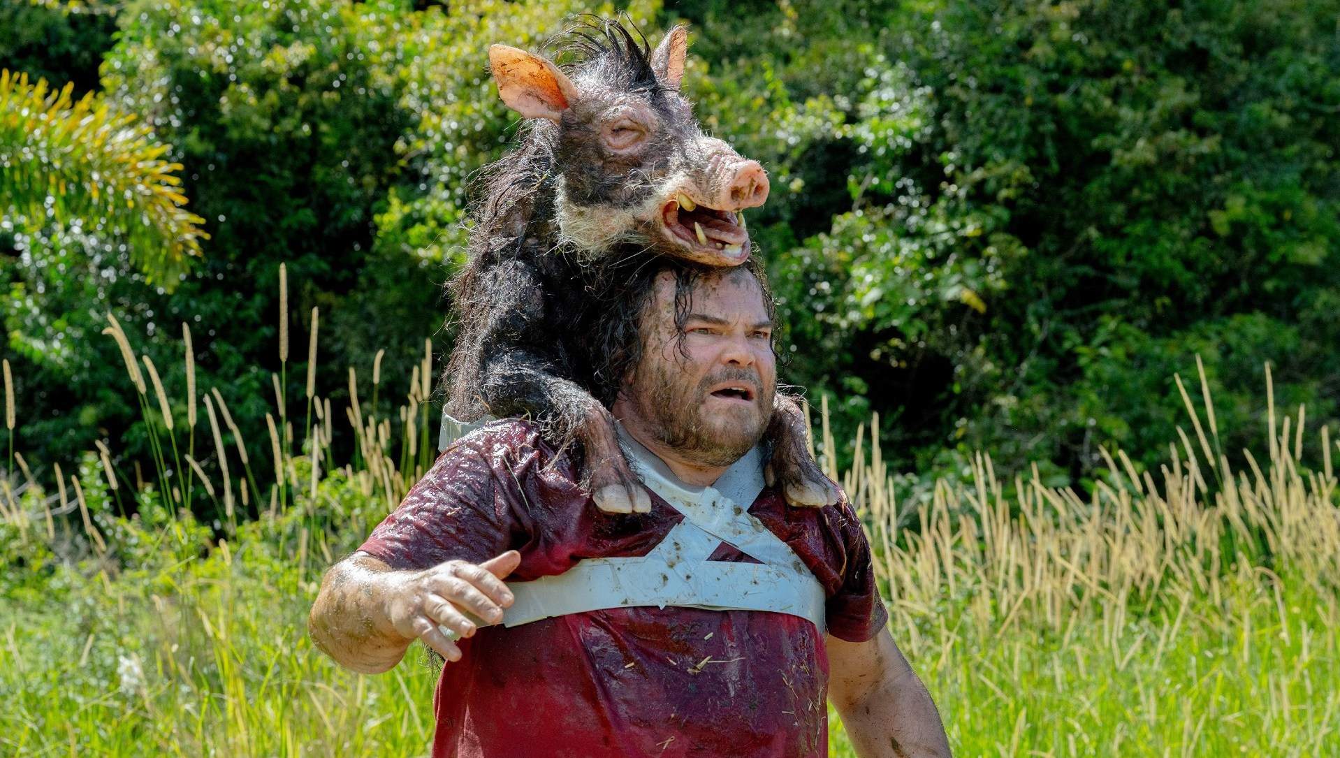 11 Must-Watch Comedy Movies on Netflix Right Now (April 2026)