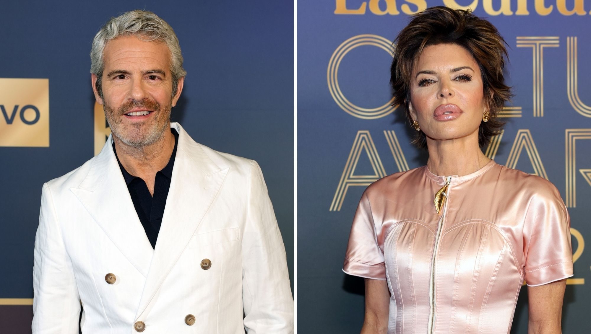 Andy Cohen Confronts 'The Traitors' Star Lisa Rinna For Burning His Book