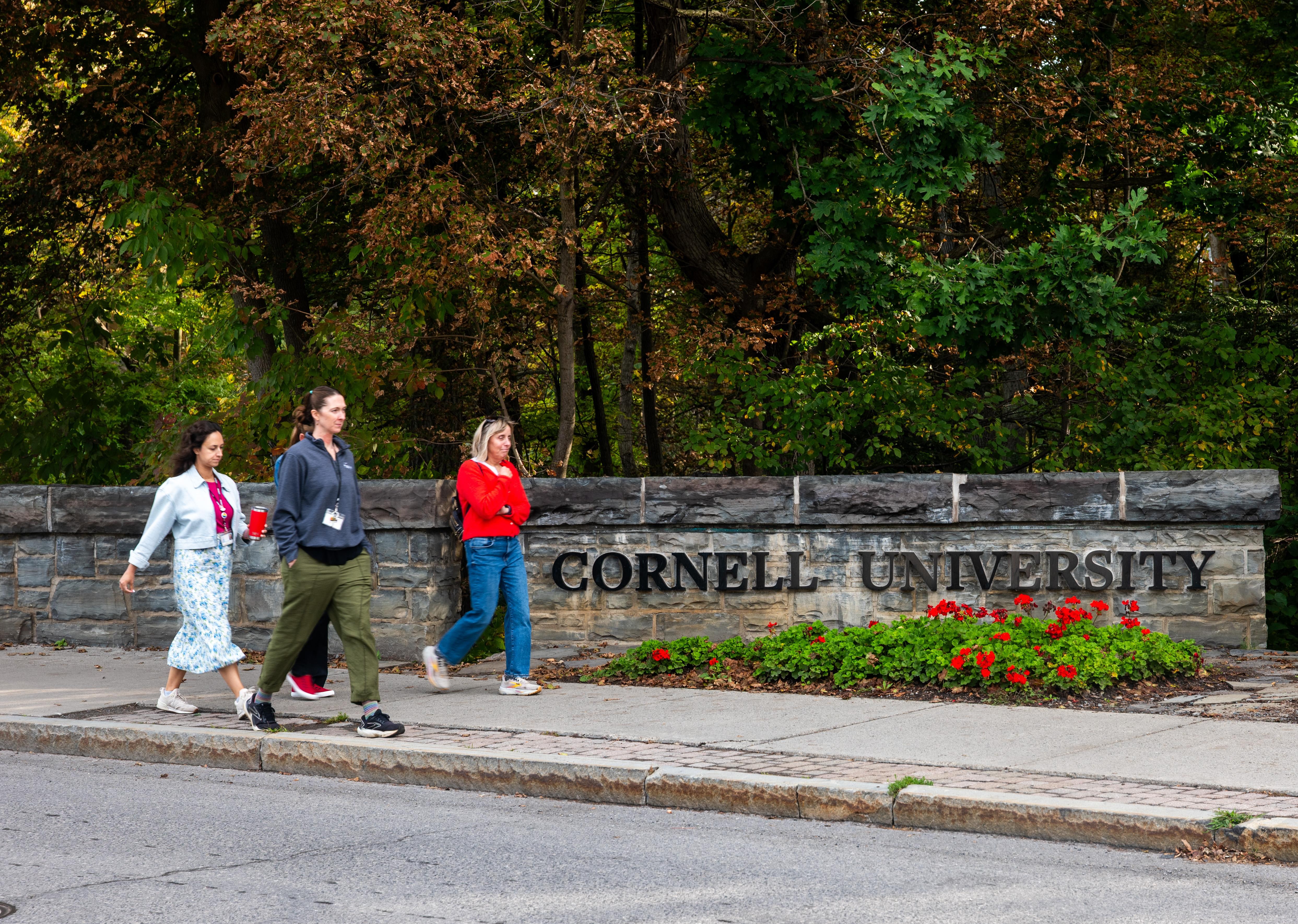 The Cornell case, explained