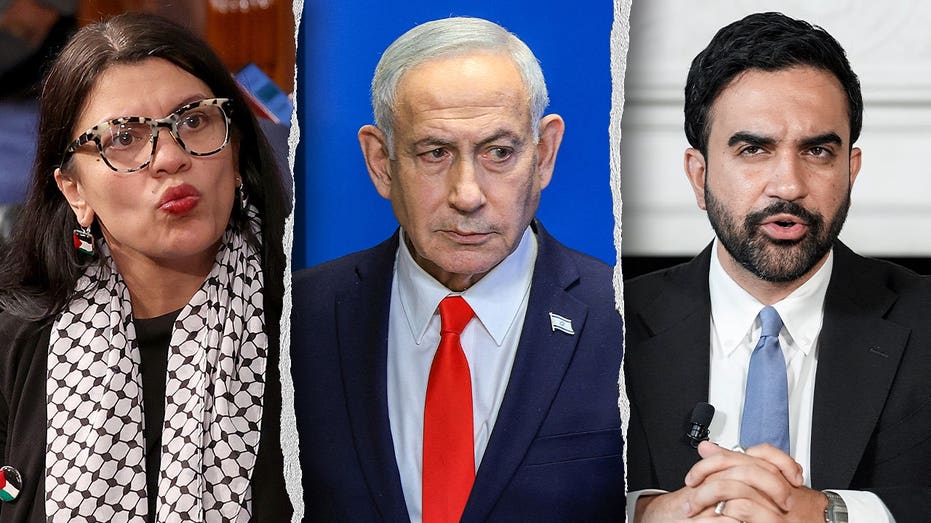 WATCH: Tlaib tells Mamdani to 'call me' for help arresting Netanyahu as Democrats remain divided