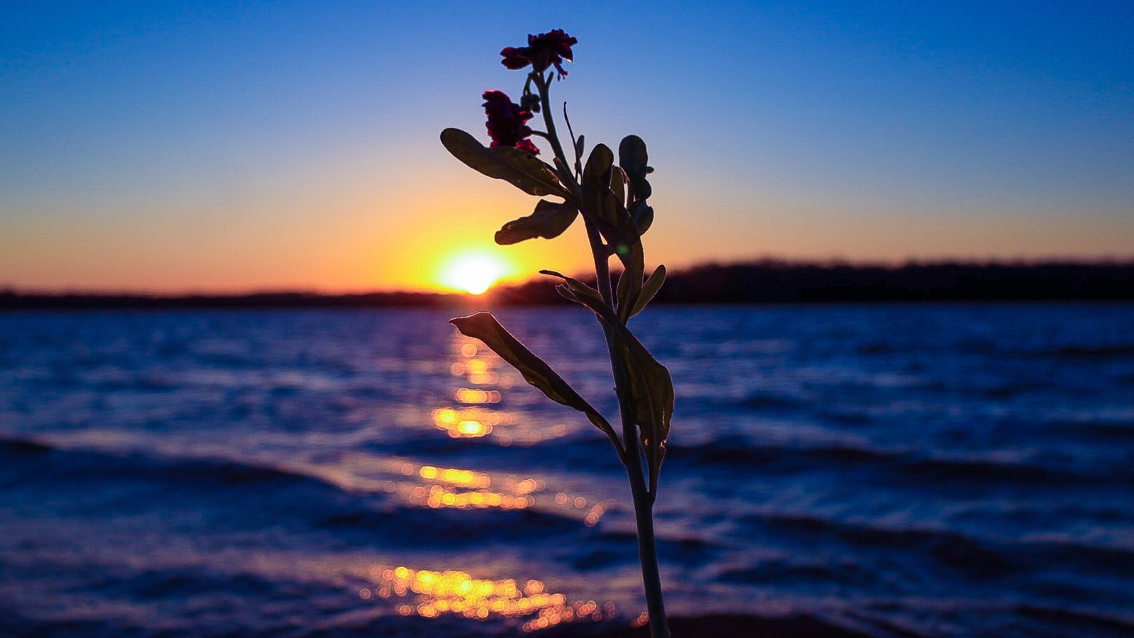Just Outside Nashville Is Tennessee's Lake Of Islands With Camping, Swimming, And Endless Outdoor Adventure