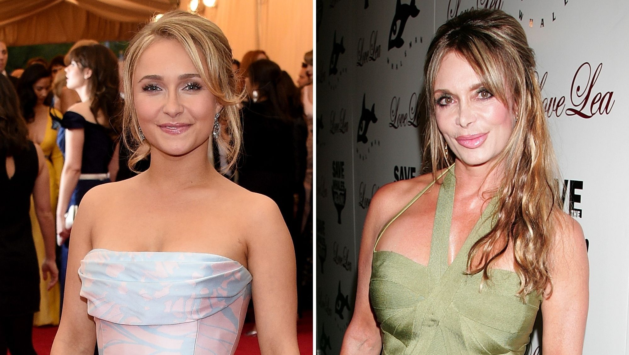 Hayden Panettiere Shared Update on Relationship With Her Mom Before Death
