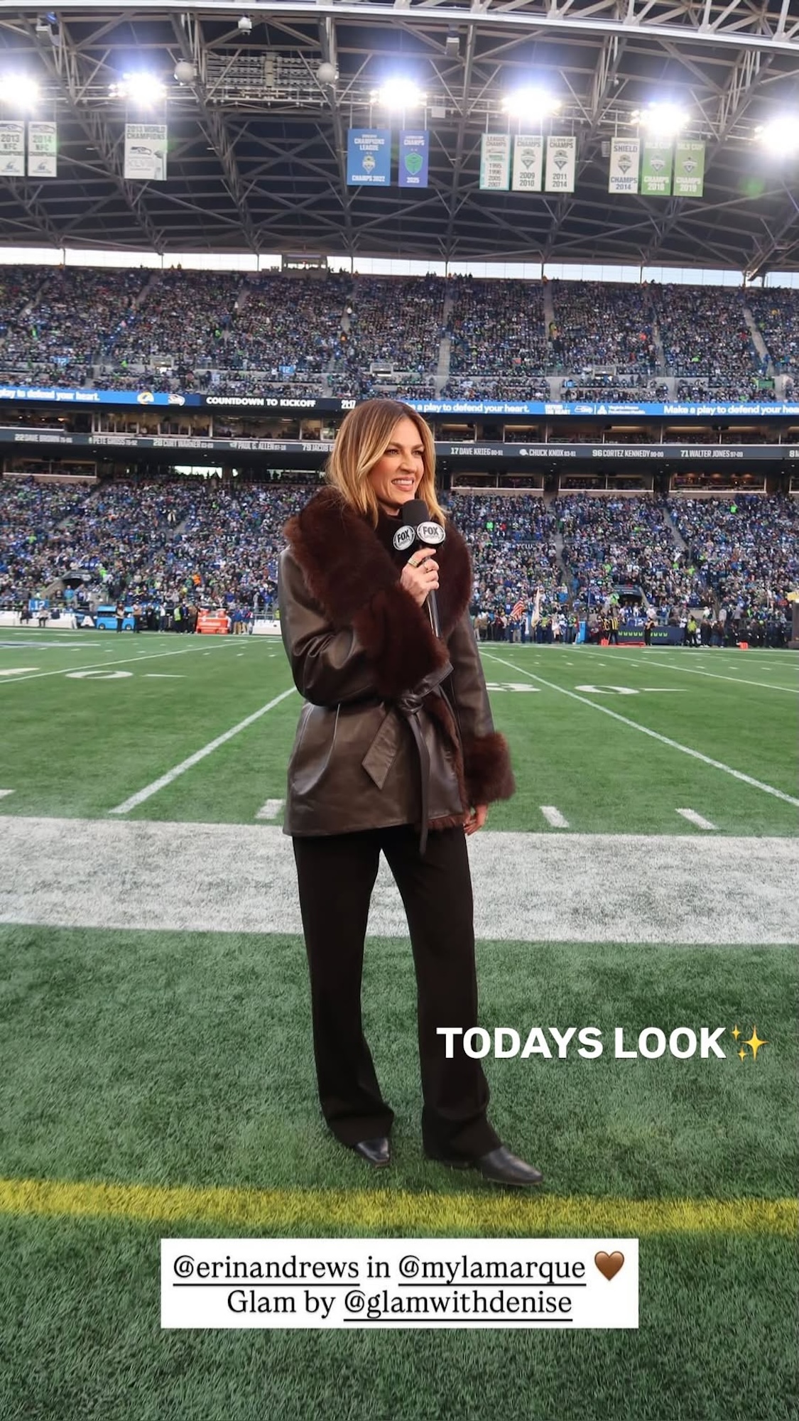 Erin Andrews Rocks Another Fur Coat at NFC Championship After Viral Moment