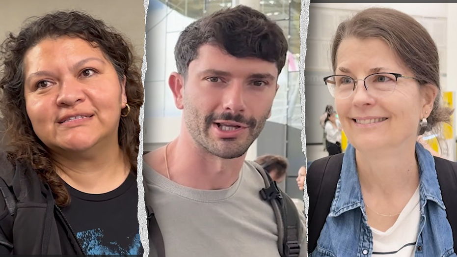WATCH: Democrats told Americans to fear ICE, here's how airport travelers actually feel