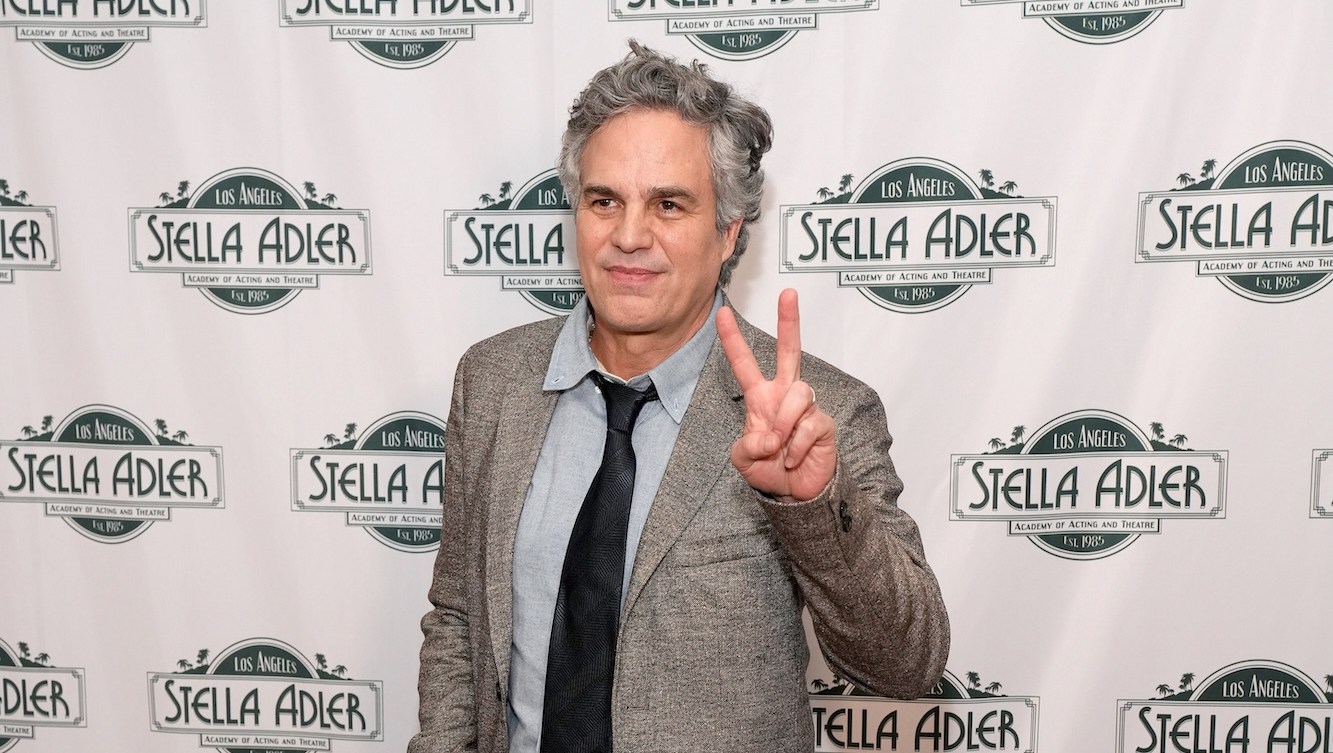 Mark Ruffalo Teases Political Future: 'People in America Are Suffering'