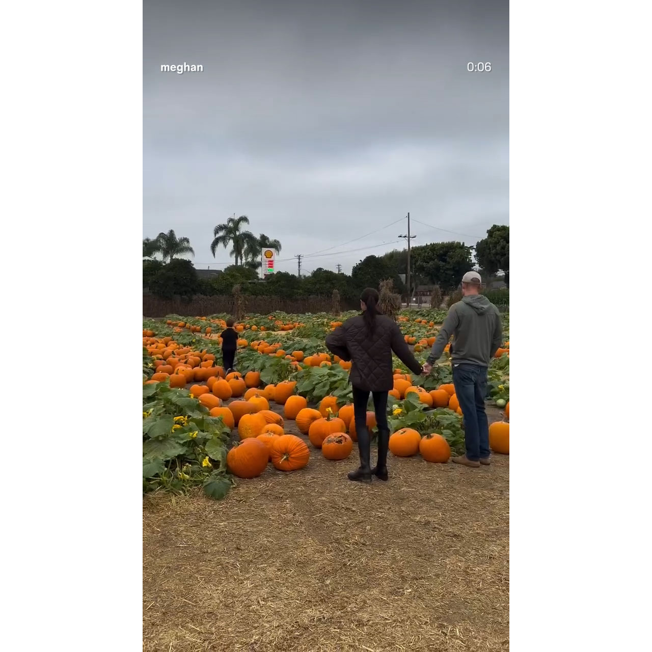 Meghan Markle Wears $1,600 Outfit on Family Pumpkin Patch Outing