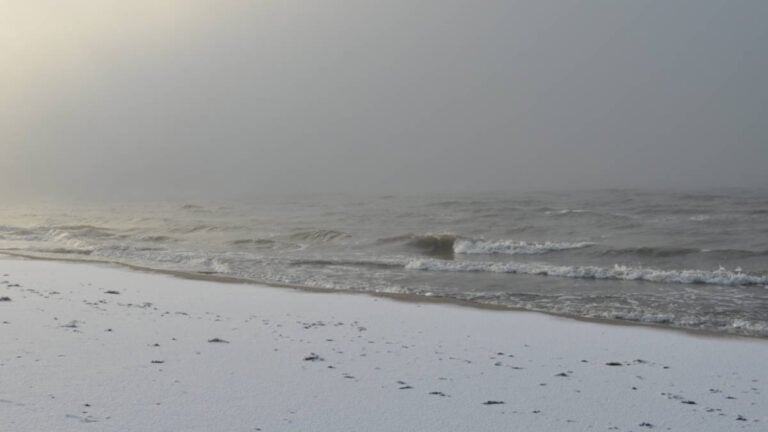 All Cruise Ships Impacted by Winter Storm Fern