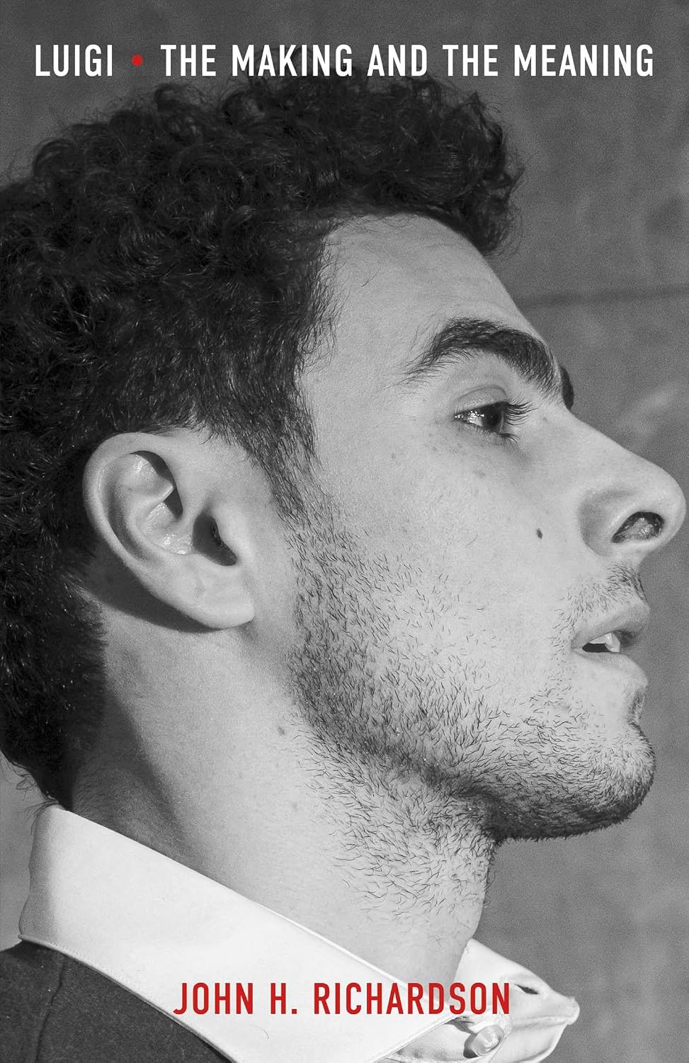Luigi Mangione Read Surprising Book in Jail Before CEO Murder Confession