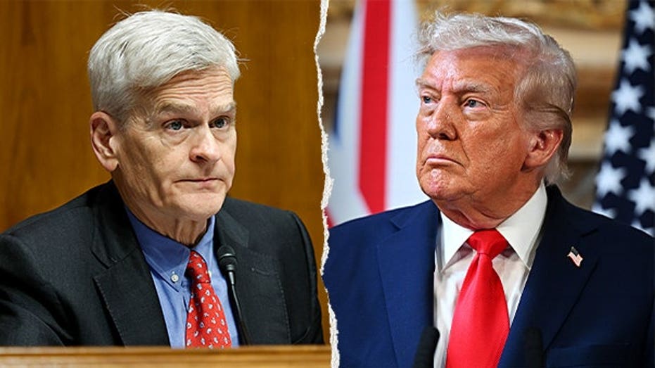 Republican breaks with Trump after primary loss, calls for ‘steady, not erratic’ leadership