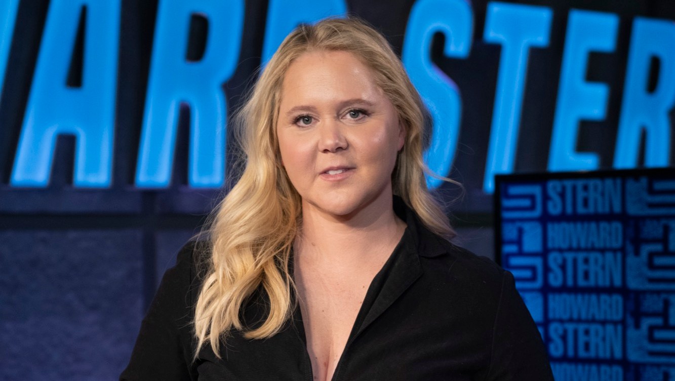 Amy Schumer Says She's 'Proud' of Her Body After Wiping Instagram