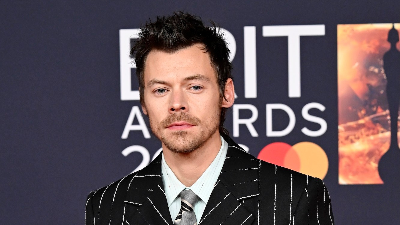 Harry Styles Makes Rare Comment About What He Did During Touring Break