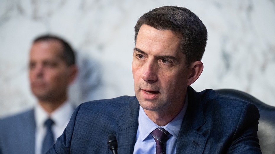 Sen Tom Cotton urges DOJ to probe Chinese bid to 'kneecap' American AI