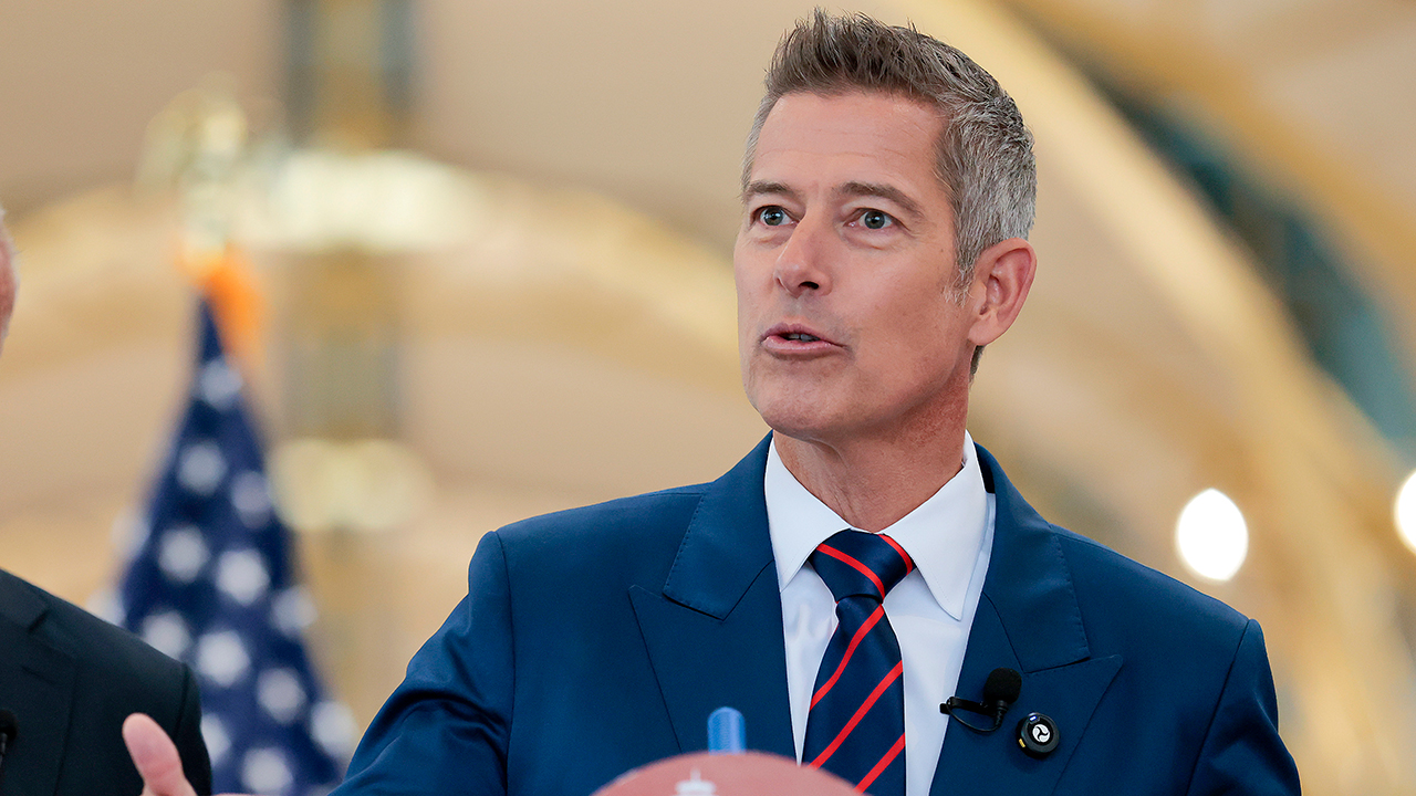 Transportation secretary assures Christmas travel safety despite air traffic control shortages