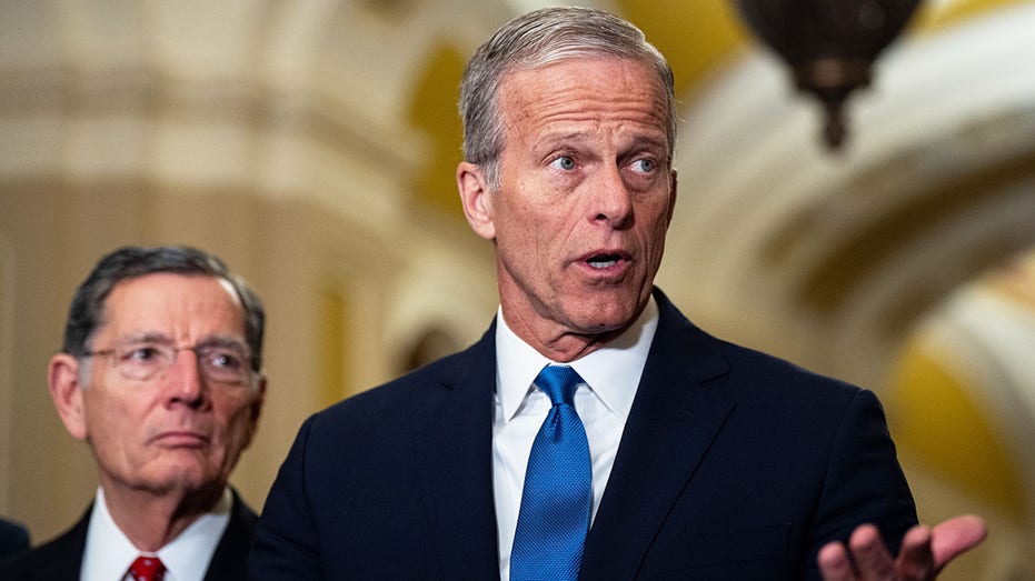 Senate GOP moves to block Dems' war powers push, preserve Trump's authority in rare move