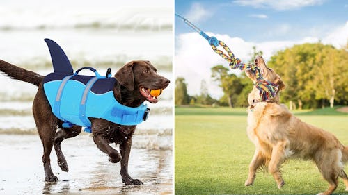 55 Weird Things For Dogs That Have Near-Perfect Amazon Reviews &amp; Are So Damn Cheap
