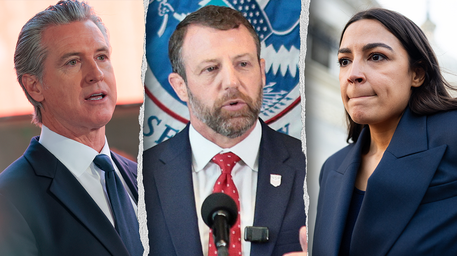 2028 Dem hopefuls torched over webinars teaching illegal immigrants how to 'defy' ICE