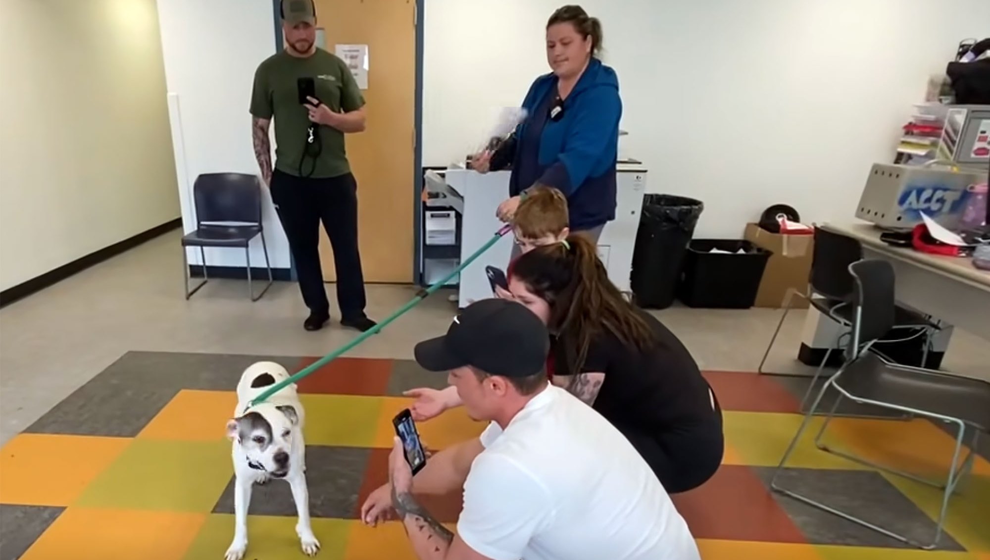 Stolen Pitbull 'Finally Home' With Family After He Vanished Over Decade Ago