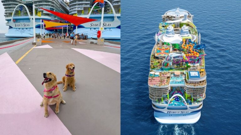Royal Caribbean Chooses Name for Next Chief Dog Officer
