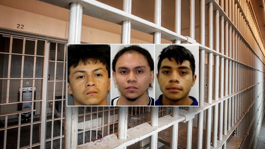 ICE seeking detention of 3 alleged MS-13 members accused of murdering 14-year-old boy