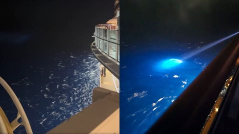 Overboard Scare on MSC Ship Determined to be False Alarm