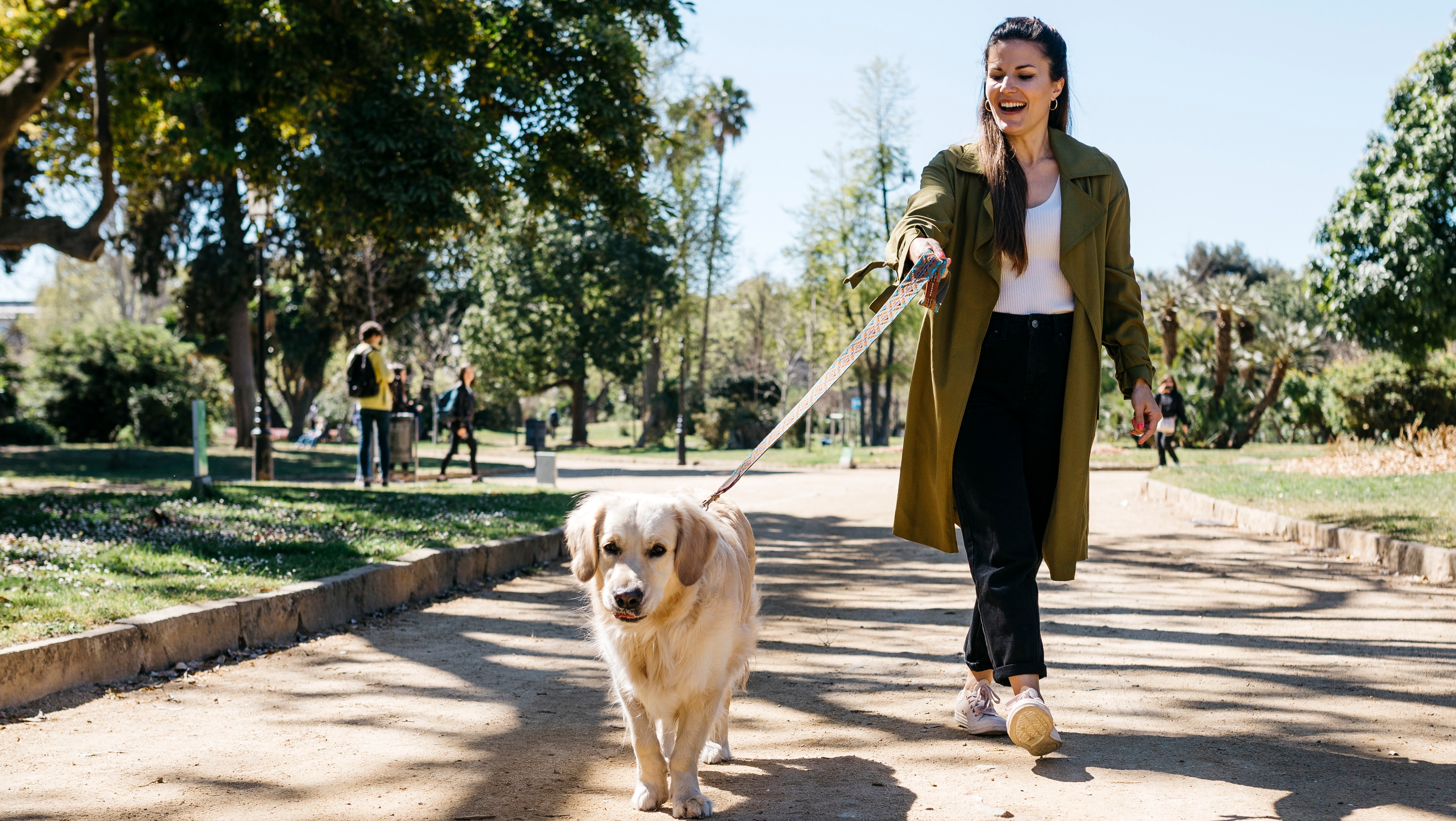 Boost Your Dog's Energy, Digestion and Mobility With This Vet-Formulated Multivitamin