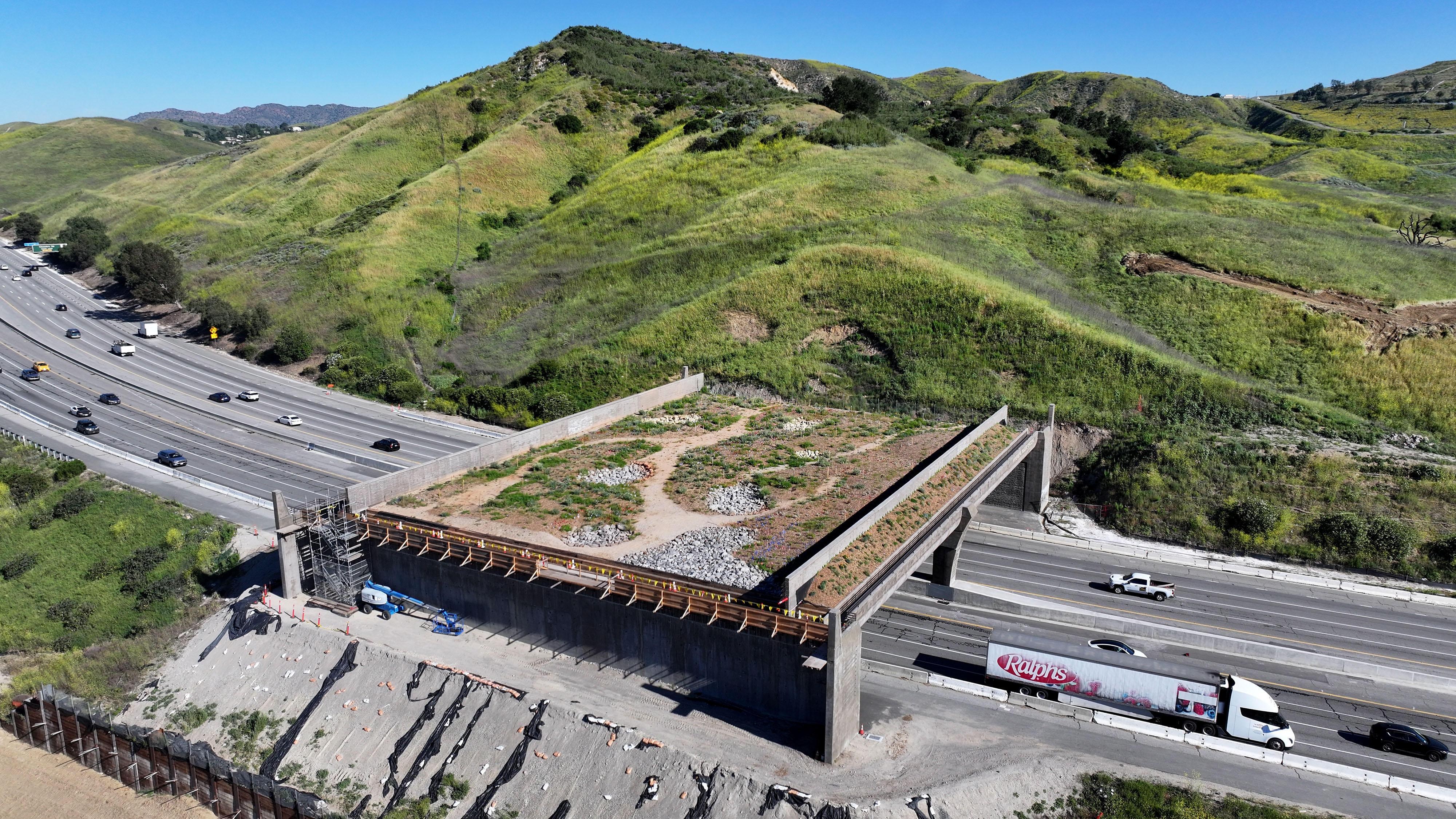An elegant fix for one of America’s deadliest road problems