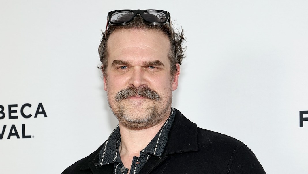 Stranger Things' David Harbour Seen With Mystery Woman as Maya Hawke Weds