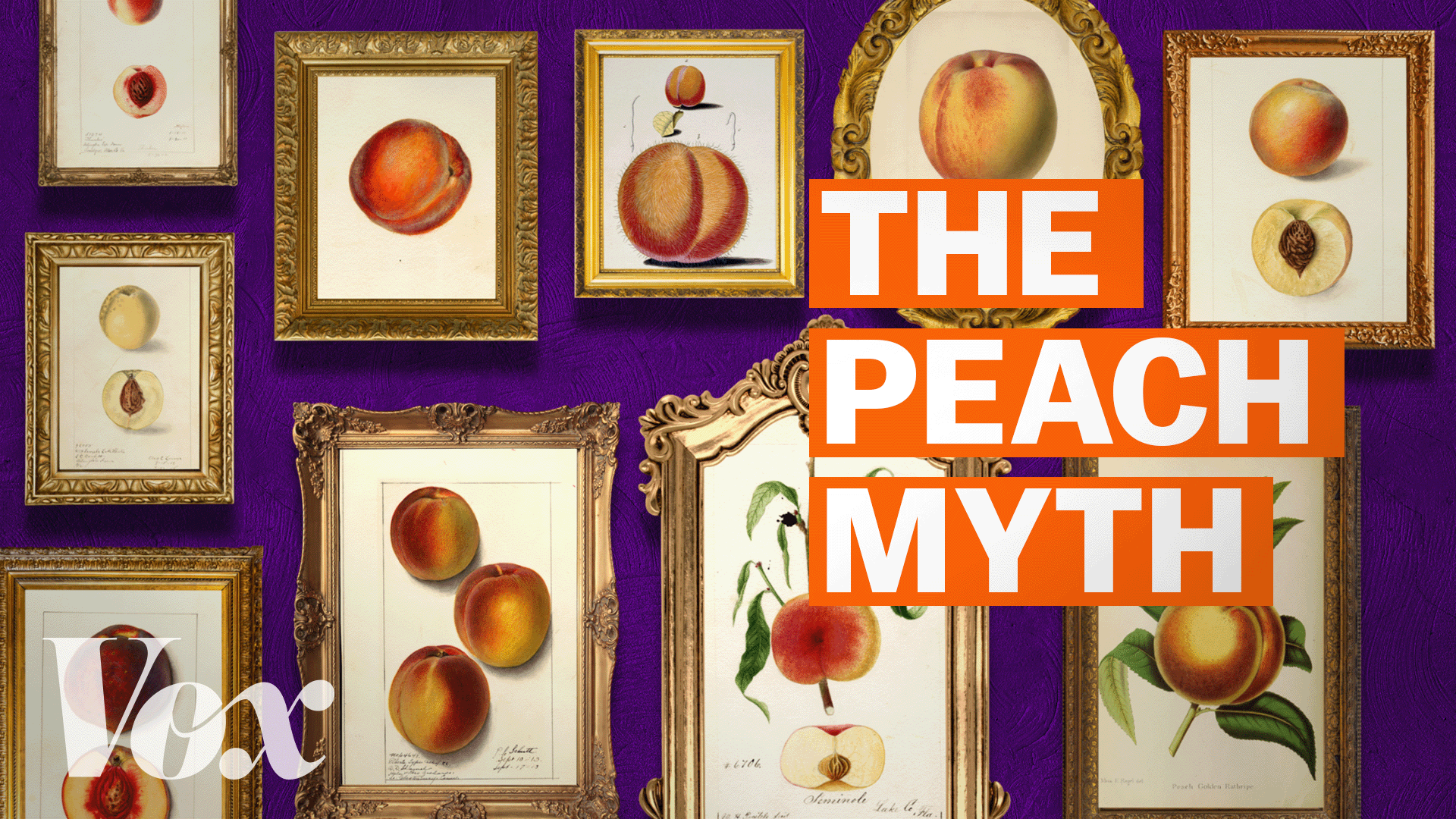 How Georgia manufactured the peach state myth